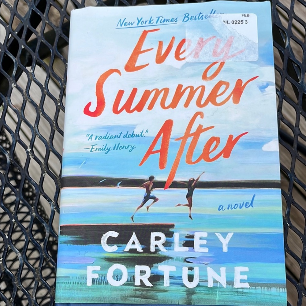 Every Summer After novel